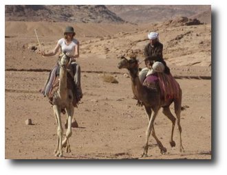 camel riding