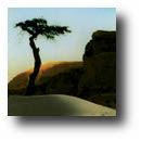 makhad