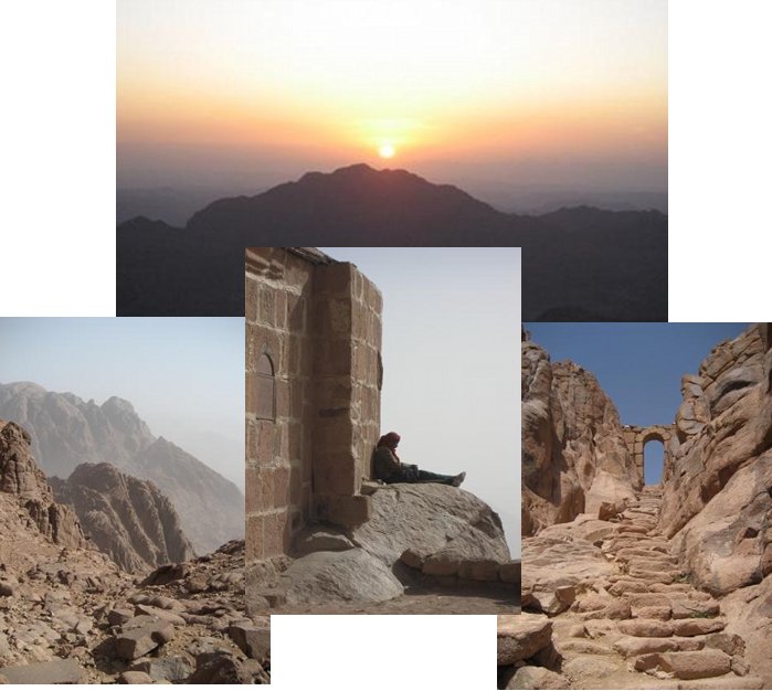 mount sinai collage