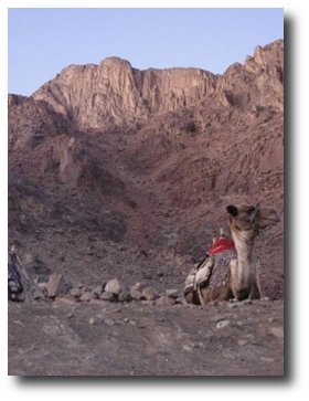 sinai from north